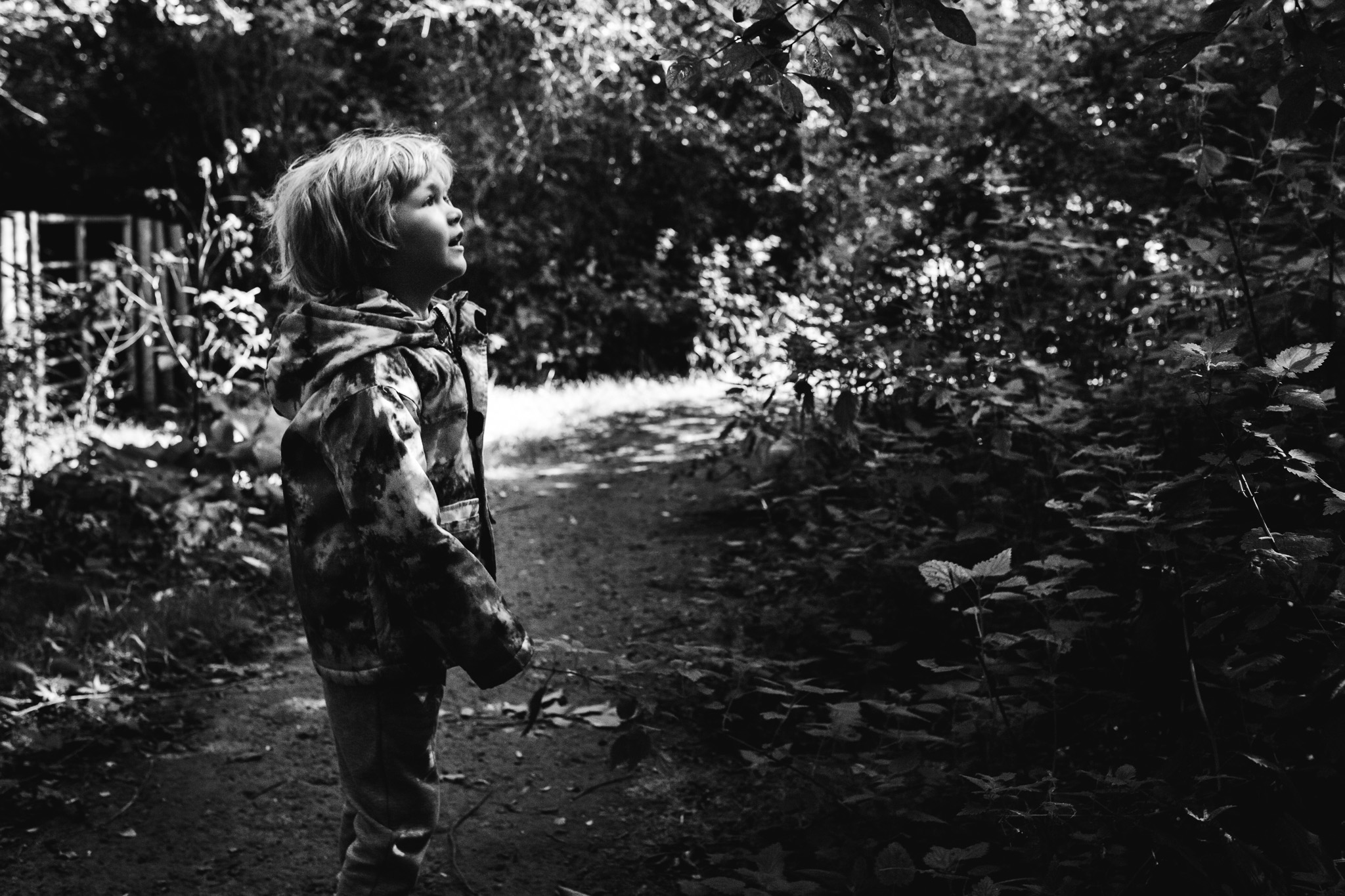 Kai standing on a leafy path looking into a bush during a family photo session.