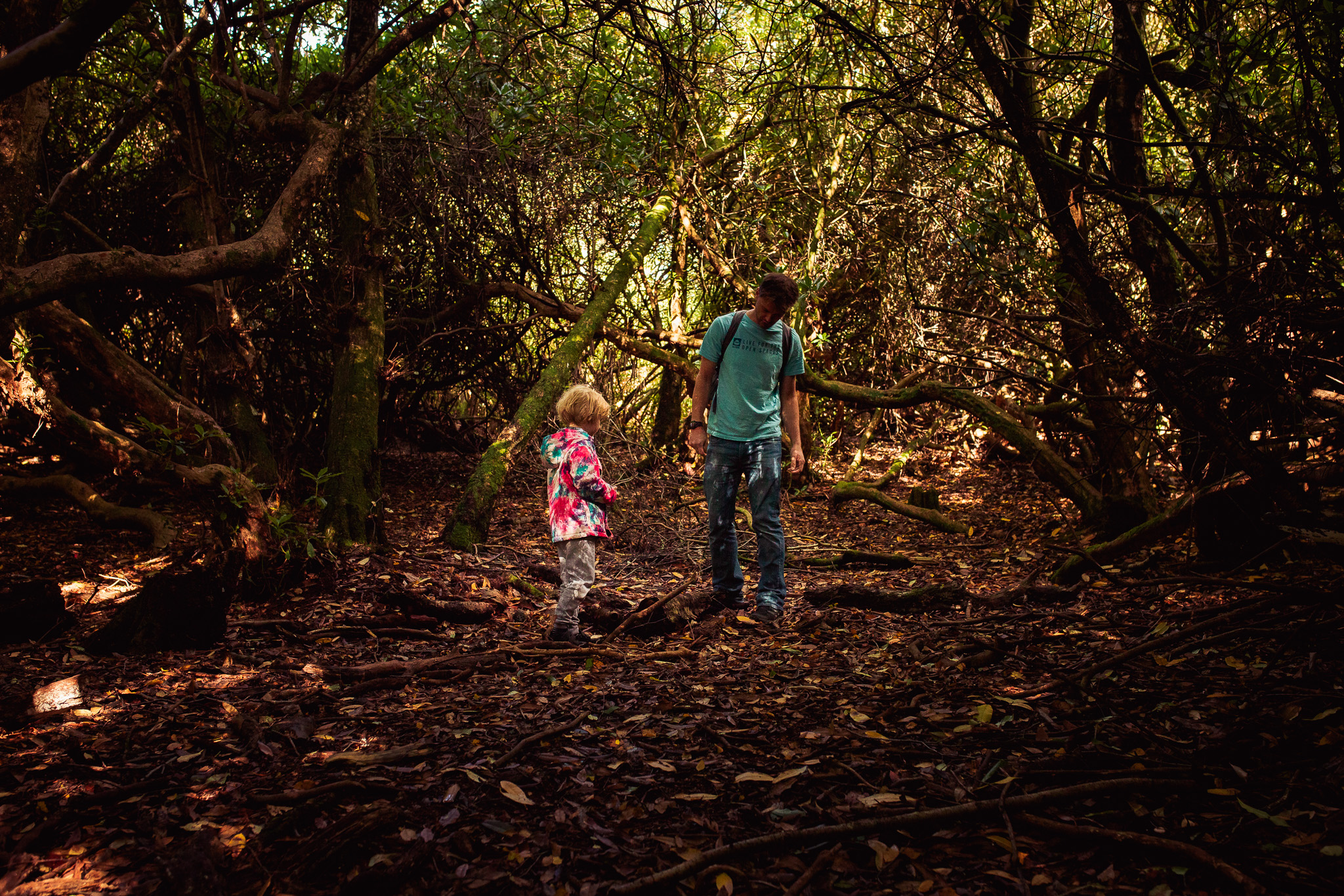 A young son and dad in a forest in East Sussex during a family photo session