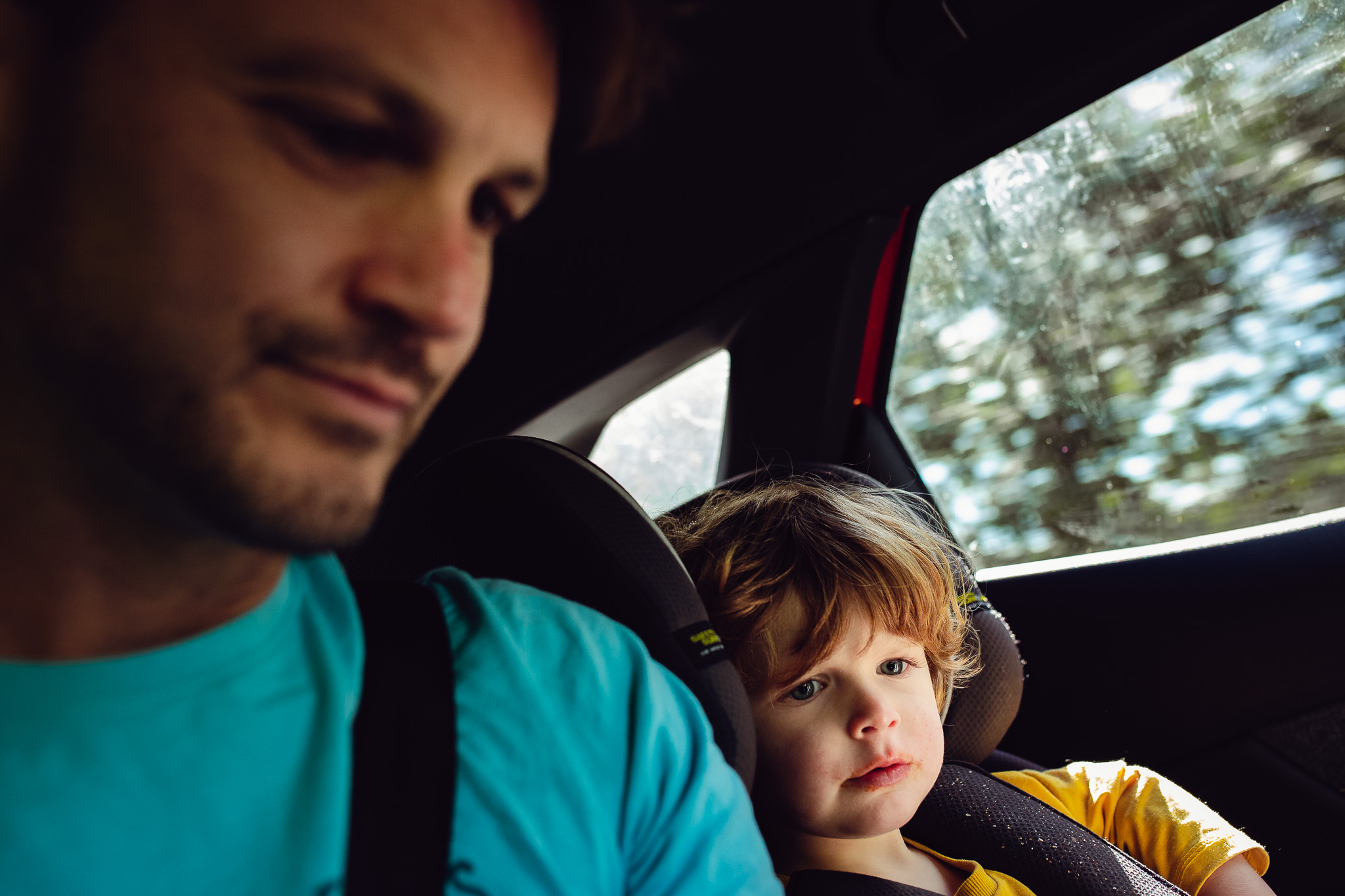 Dad and young boy travelling in the backseat of a car during a family photo session.