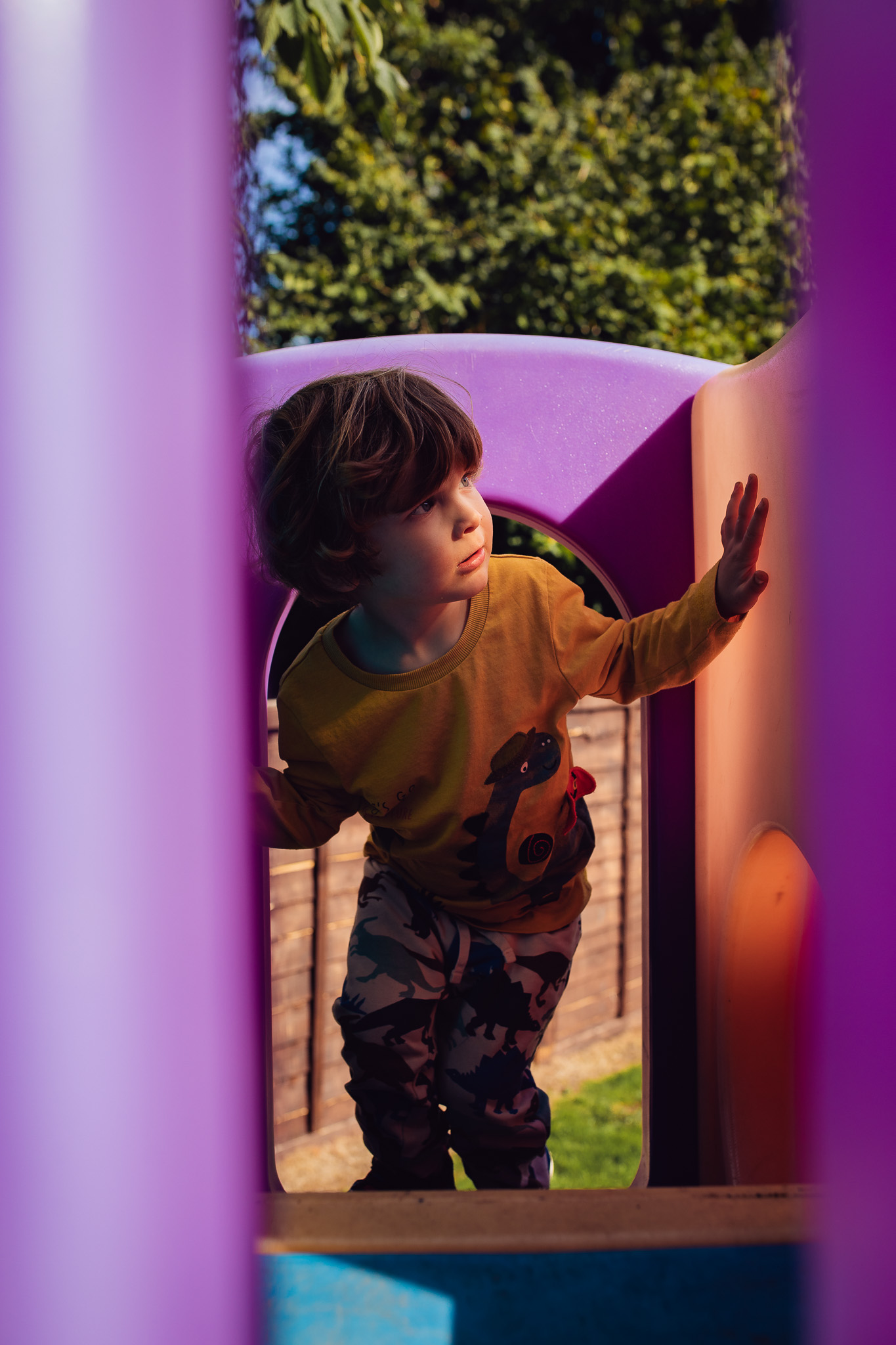 Leo climbing through a purple climbing frame during a family photo session