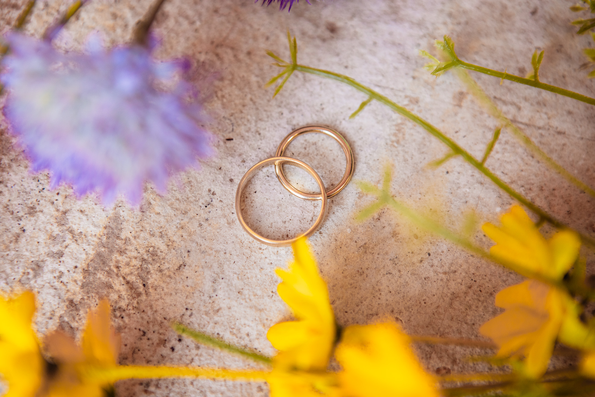 Two wedding rings lying on a stone floor surrounded by bright flowers.