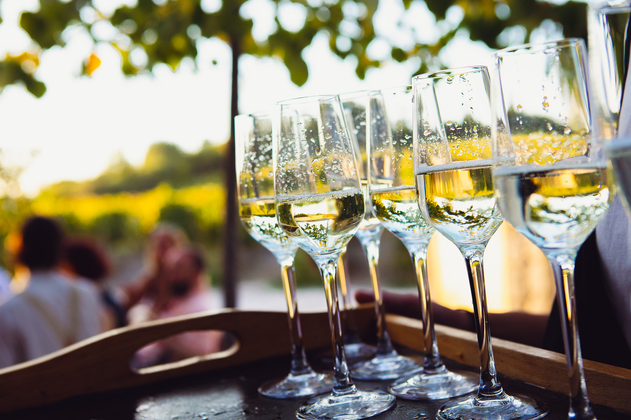 A tray of champagne flutes sparkle in the setting sun at the wedding dinner at Ambelonas Vineyard, Corfu