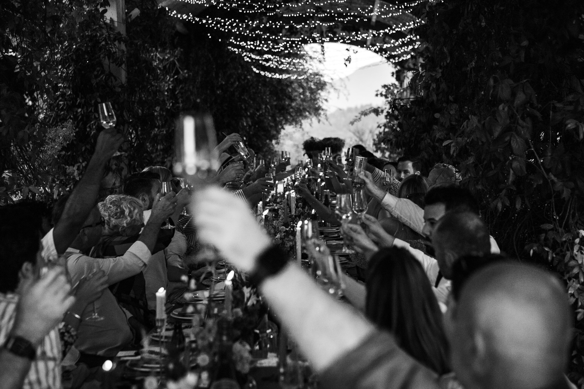 Guests raise their glasses for a toast at Ambelonas Vineyard, Corfu