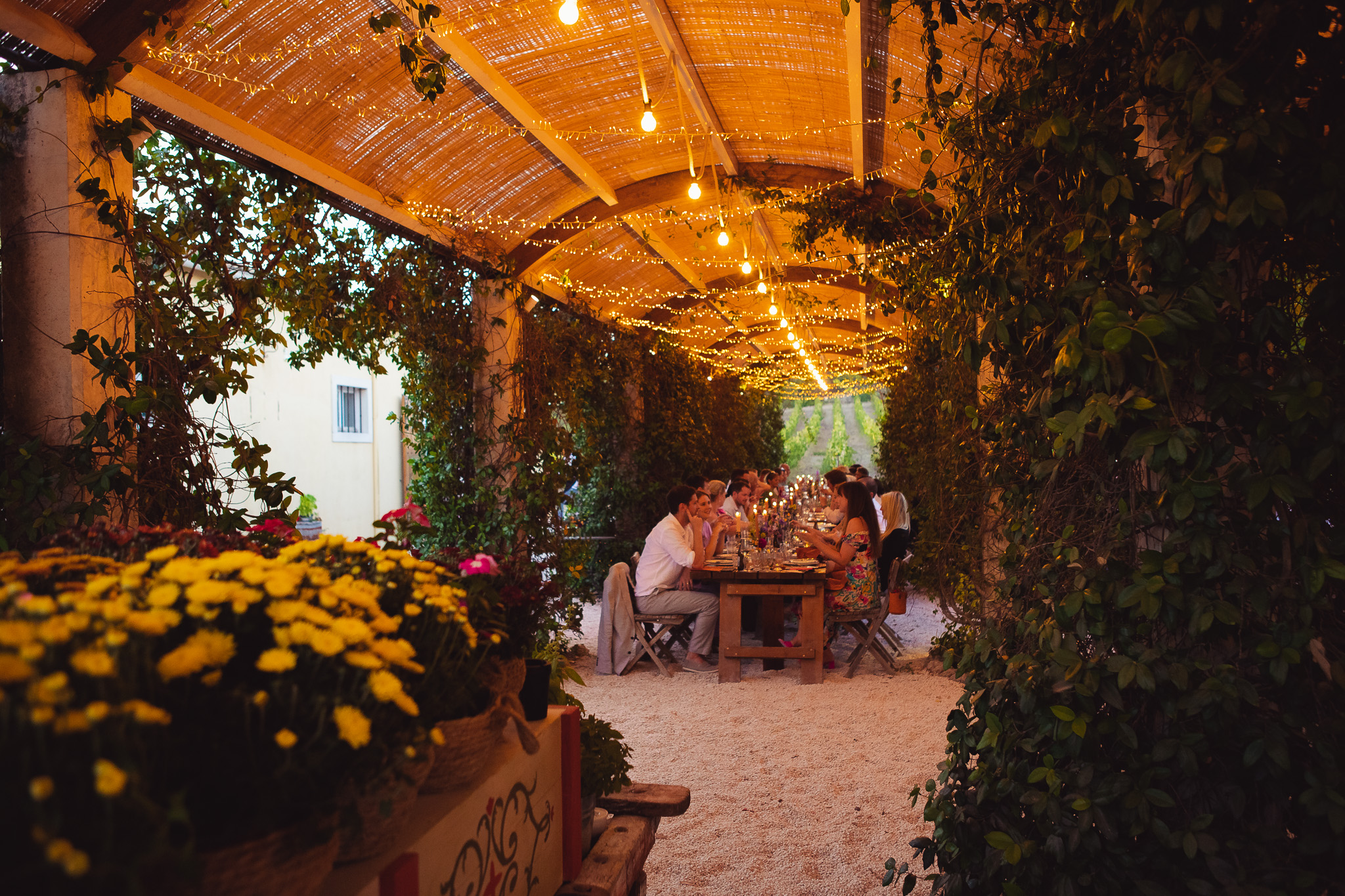 Wedding guests enjoy their dinner under a canopy of fairy lights at Ambelonas Vineyard, Corfu
